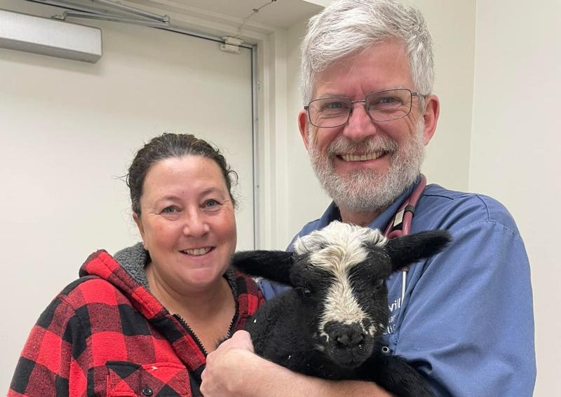 Home Dunnville Veterinary Clinic Dunnville